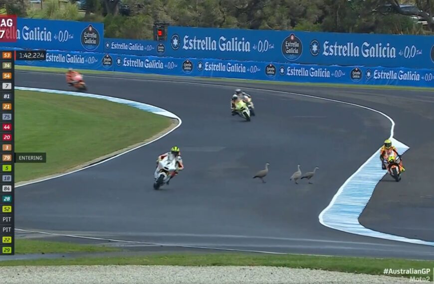 Állatsereg zavarta meg a MotoGP első napját Phillip Island-en